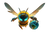 Heroic Bee Rescue Vinyl Car Decal Sticker – Waterproof & UV-Resistant 6.1866666666666665"