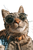 Cat Selfie Sunglasses Vinyl Car Decal Sticker – Waterproof & UV-Resistant 4.4