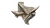 Origami Texas Receipt Vinyl Car Decal Sticker – Waterproof & UV-Resistant 5.4