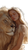 Girl And Lion V6 Vinyl Car Decal Sticker – Waterproof & UV-Resistant 9.706666666666667"