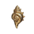 Gold Conch Brooch Vinyl Car Decal Sticker – Waterproof & UV-Resistant 3.4133333333333336"