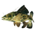 Abstract Geometric Walleye Vinyl Car Decal Sticker – Waterproof & UV-Resistant 6.826666666666667"