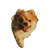 Smiling Pomeranian Running Vinyl Car Decal Sticker – Waterproof & UV-Resistant 3.4133333333333336"
