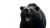 Roaring Bear V32 Vinyl Car Decal Sticker – Waterproof & UV-Resistant 2.72"