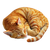 Sleeping Orange Cat V16 Vinyl Car Decal Sticker – Waterproof & UV-Resistant 3.4133333333333336"