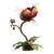 Carnivorous Plant Concept Vinyl Car Decal Sticker – Waterproof & UV-Resistant 3.4133333333333336"
