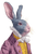 Aristocratic Rabbit Portrait Vinyl Car Decal Sticker – Waterproof & UV-Resistant 4.4