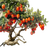 Persimmons And Leaves Vinyl Car Decal Sticker – Waterproof & UV-Resistant 3.4133333333333336"