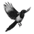 Minimalist Magpie Tattoo Vinyl Car Decal Sticker – Waterproof & UV-Resistant 6.826666666666667"