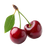 Cherries On Stems Vinyl Car Decal Sticker – Waterproof & UV-Resistant 3.4133333333333336"