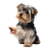 Dog Giving Paw Vinyl Car Decal Sticker – Waterproof & UV-Resistant 3.4133333333333336"