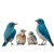 Bird Family Vinyl Car Decal Sticker – Waterproof & UV-Resistant 3.4133333333333336"