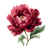 Maroon Peony Illustration Vinyl Car Decal Sticker – Waterproof & UV-Resistant 3.4133333333333336"