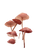 Fantasy Mushrooms V2 Vinyl Car Decal Sticker – Waterproof & UV-Resistant 4.1066666666666665"