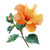 Orange Hibiscus Flower Vinyl Car Decal Sticker – Waterproof & UV-Resistant 3.4133333333333336"