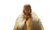 Jesus Christ Portrait V28 Vinyl Car Decal Sticker – Waterproof & UV-Resistant 2.72"
