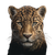 Jaguar Head Portrait Vinyl Car Decal Sticker – Waterproof & UV-Resistant 3.4133333333333336"