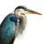 Blue Heron Vinyl Car Decal Sticker – Waterproof & UV-Resistant 6.826666666666667"