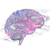Neural Network Brain V3 Vinyl Car Decal Sticker – Waterproof & UV-Resistant 6.826666666666667"