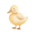 Cute Duck Illustration V8 Vinyl Car Decal Sticker – Waterproof & UV-Resistant 3.4133333333333336"