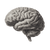 Brain Profile Sketch Vinyl Car Decal Sticker – Waterproof & UV-Resistant 3.4133333333333336"