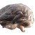Mineral Vein Brain Vinyl Car Decal Sticker – Waterproof & UV-Resistant 6.826666666666667"