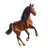 Realistic Horse Photo Vinyl Car Decal Sticker – Waterproof & UV-Resistant 3.4133333333333336"