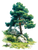 Lush Pine Tree Vinyl Car Decal Sticker – Waterproof & UV-Resistant 8.213333333333333"