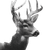 Majestic Deer Portrait V2 Vinyl Car Decal Sticker – Waterproof & UV-Resistant 6.826666666666667"