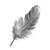Black White Feather Vinyl Car Decal Sticker – Waterproof & UV-Resistant 3.4133333333333336"