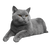 British Shorthair Cat V32 Vinyl Car Decal Sticker – Waterproof & UV-Resistant 3.4133333333333336"