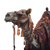 Decorated Camel Vinyl Car Decal Sticker – Waterproof & UV-Resistant 3.4133333333333336"