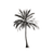 Minimalist Palm Tree V5 Vinyl Car Decal Sticker – Waterproof & UV-Resistant 6.826666666666667"