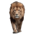 Lion Staring Forward Vinyl Car Decal Sticker – Waterproof & UV-Resistant 3.4133333333333336"