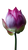 Lotus Bud Blooming V2 Vinyl Car Decal Sticker – Waterproof & UV-Resistant 9.706666666666667"