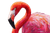 Stylistic Flamingo Portrait Vinyl Car Decal Sticker – Waterproof & UV-Resistant 2.986666666666667"