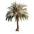 Arabic Palm Tree Vinyl Car Decal Sticker – Waterproof & UV-Resistant 3.4133333333333336"