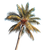 Coconut Palm Tree V2 Vinyl Car Decal Sticker – Waterproof & UV-Resistant 3.4133333333333336"