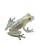 Translucent Glass Frog Vinyl Car Decal Sticker – Waterproof & UV-Resistant 4.0"