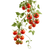 Cherry Tomato Vine V2 Vinyl Car Decal Sticker – Waterproof & UV-Resistant 6.826666666666667"