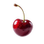 Floating Cherry V2 Vinyl Car Decal Sticker – Waterproof & UV-Resistant 6.826666666666667"