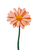 Matisse Pink Daisy Vinyl Car Decal Sticker – Waterproof & UV-Resistant 8.213333333333333"