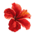 Hibiscus Flower Print Vinyl Car Decal Sticker – Waterproof & UV-Resistant 6.826666666666667"