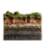 Soil Cross Section Vinyl Car Decal Sticker – Waterproof & UV-Resistant 6.826666666666667"
