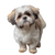 Shih Tzu Dog V3 Vinyl Car Decal Sticker – Waterproof & UV-Resistant 6.826666666666667"