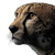 Cinematic Cheetah Close-Up Vinyl Car Decal Sticker – Waterproof & UV-Resistant 6.826666666666667"