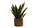 Potted Sansevieria Plant Vinyl Car Decal Sticker – Waterproof & UV-Resistant 2.72"