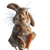 Bunny Holding Carrot Vinyl Car Decal Sticker – Waterproof & UV-Resistant 3.4133333333333336"