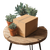 Cardboard Box Plants Vinyl Car Decal Sticker – Waterproof & UV-Resistant 6.826666666666667"