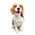 Happy Beagle Dog V3 Vinyl Car Decal Sticker – Waterproof & UV-Resistant 3.4133333333333336"